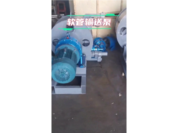 軟管輸送泵結(jié)構介紹與工作原理